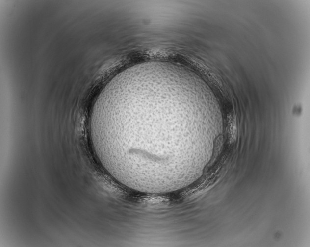 X0000099290619200805161326