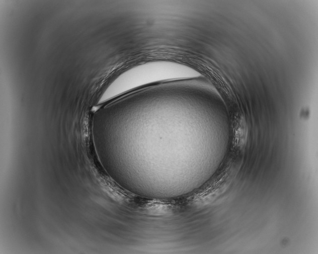 X0000099290620200805161326