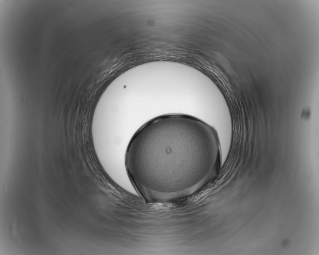 X0000099290621200805161326