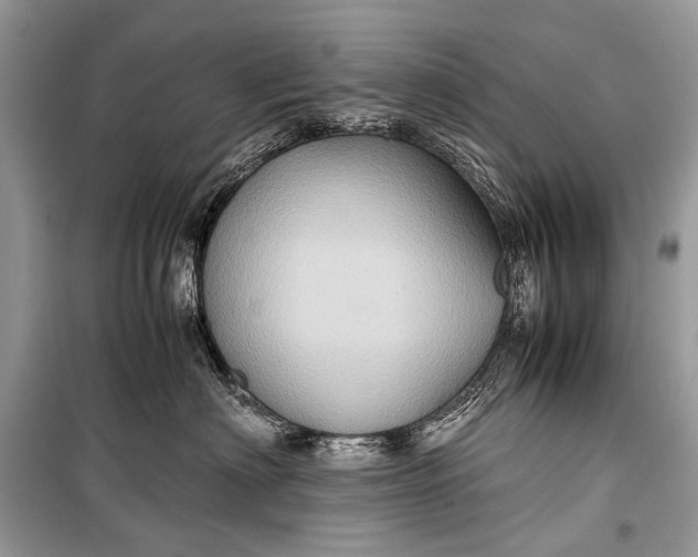 X0000099290622200805161326