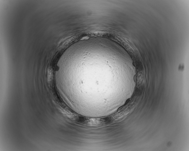 X0000099290623200805161326