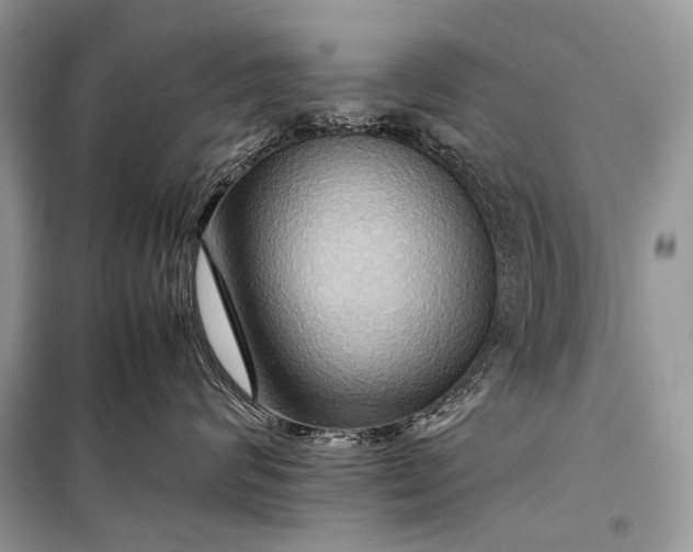 X0000099290624200805161326