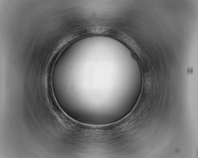 X0000099290626200805161326