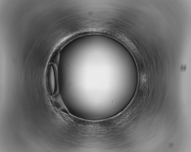 X0000099290628200805161326