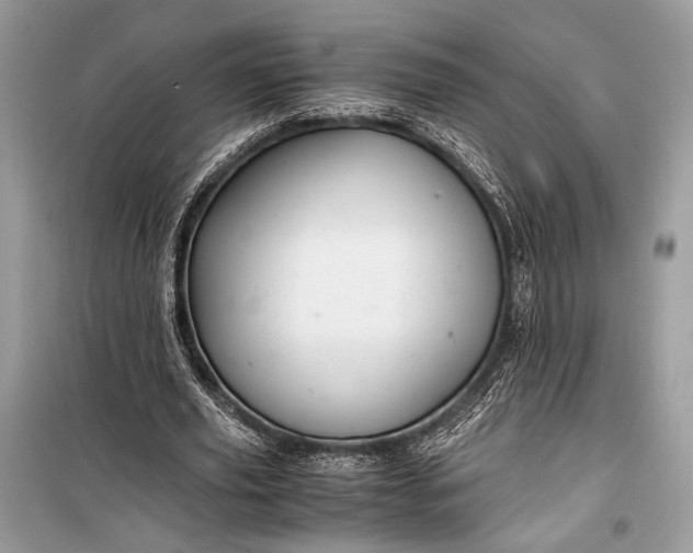 X0000099290629200805161326