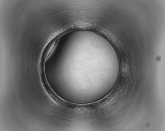 X0000099290630200805161326