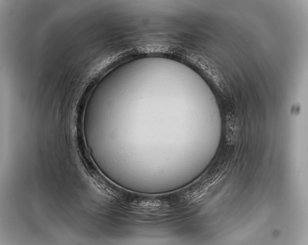 X0000099290631200805161326