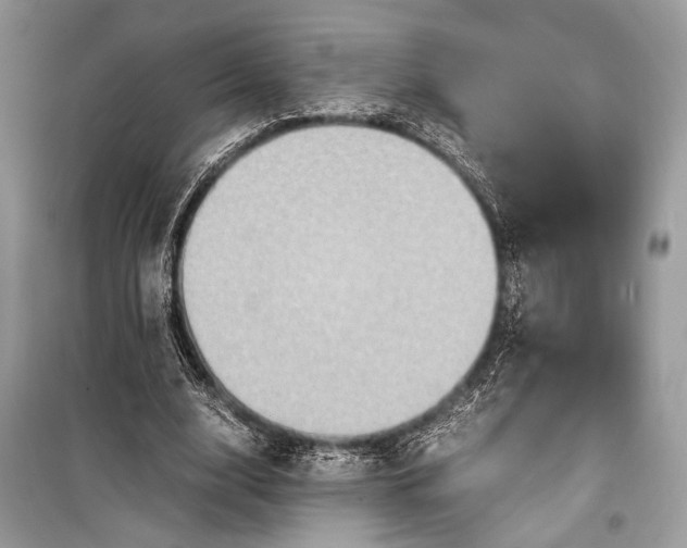 X0000099290632200805161326