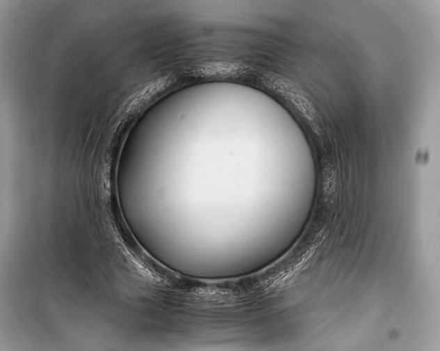 X0000099290633200805161326