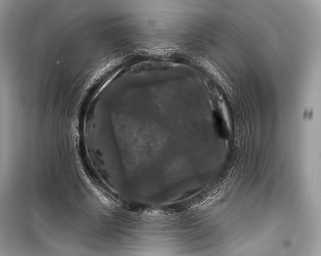 X0000099290634200805161326