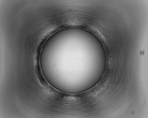 X0000099290635200805161326