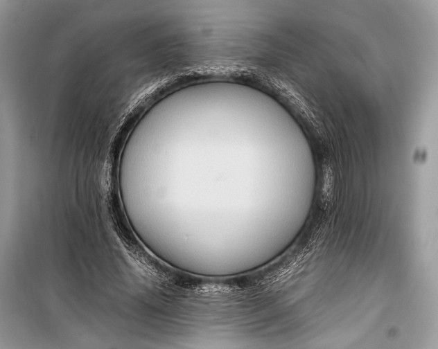 X0000099290636200805161326