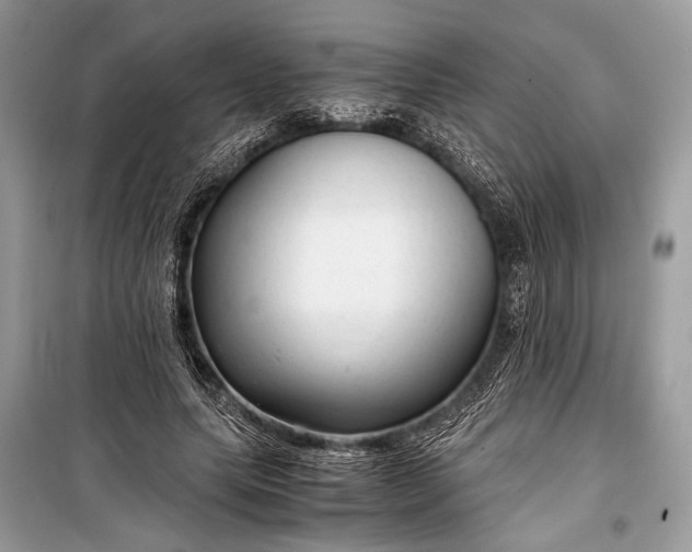 X0000099290639200805161326