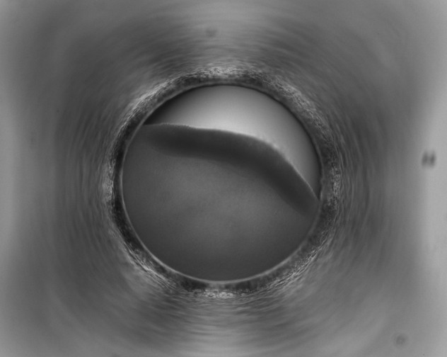 X0000099290640200805161326