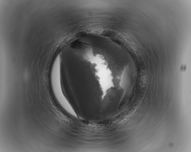 X0000099290641200805161326