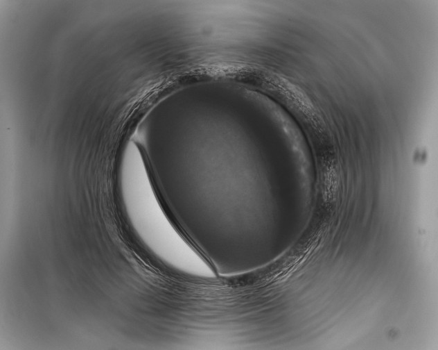 X0000099290644200805161326