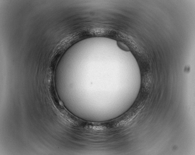 X0000099290645200805161326