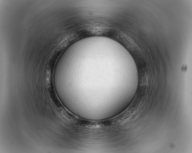 X0000099290646200805161326