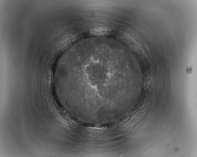 X0000099290647200805161326