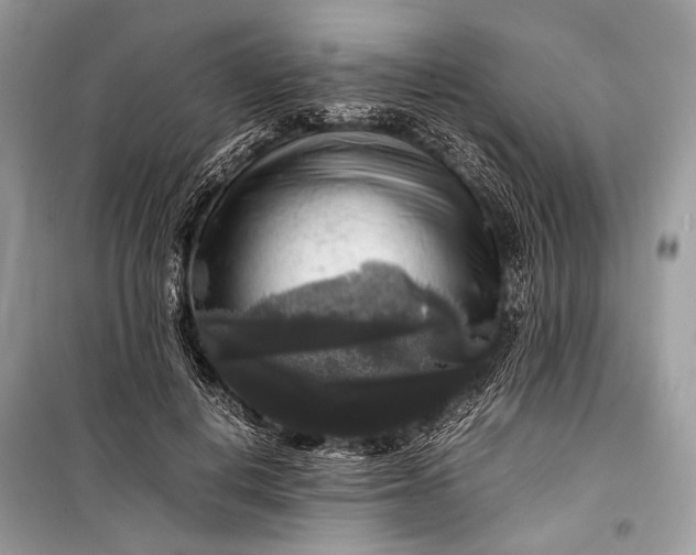 X0000099290648200805161326