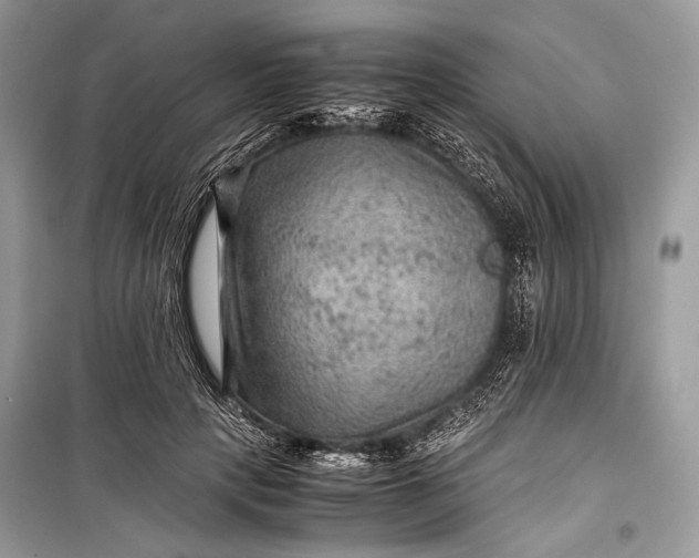 X0000099290649200805161326