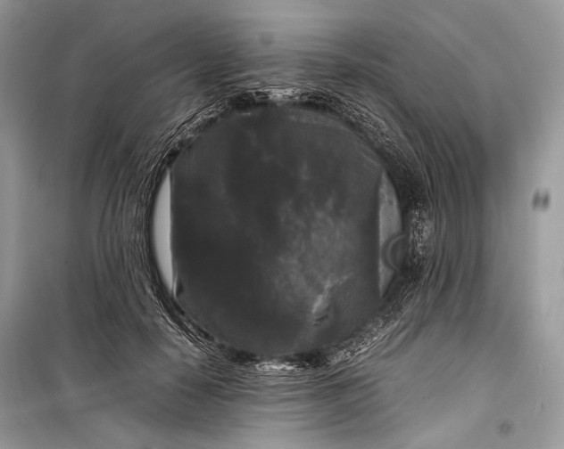 X0000099290650200805161326