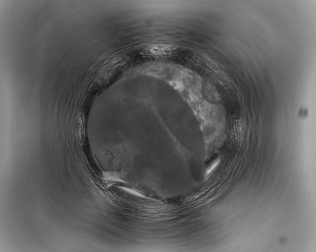 X0000099290651200805161326