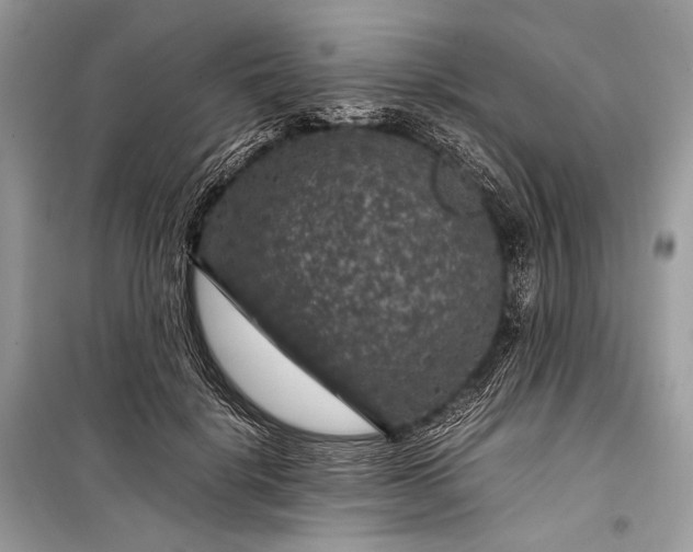 X0000099290652200805161326