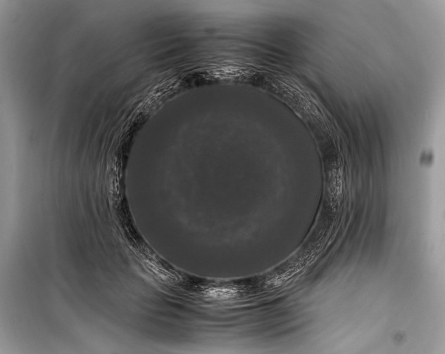 X0000099290653200805161326