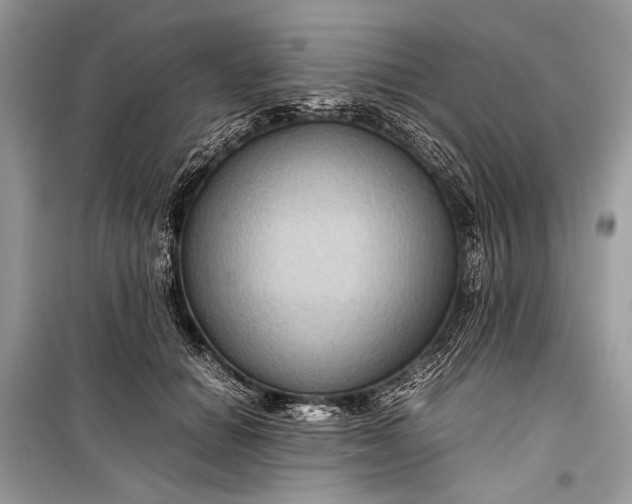 X0000099290654200805161326