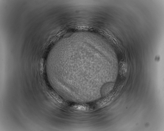 X0000099290655200805161326