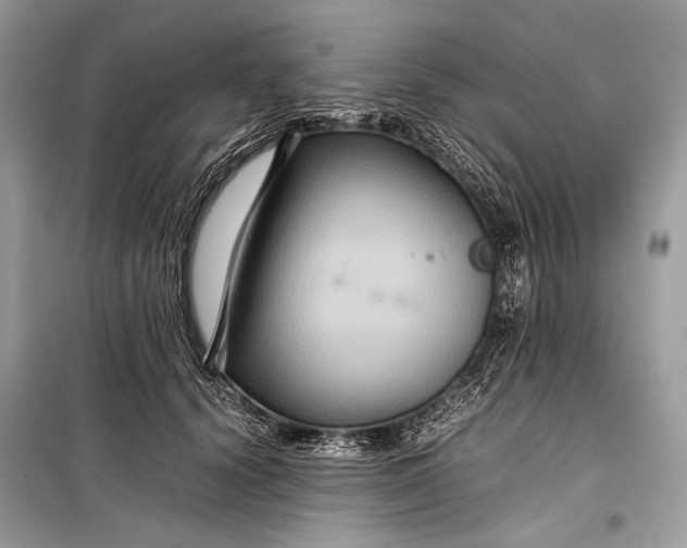 X0000099290656200805161326