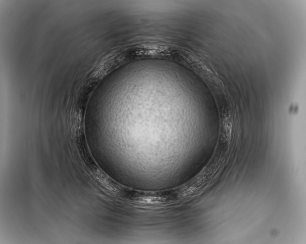 X0000099290657200805161326