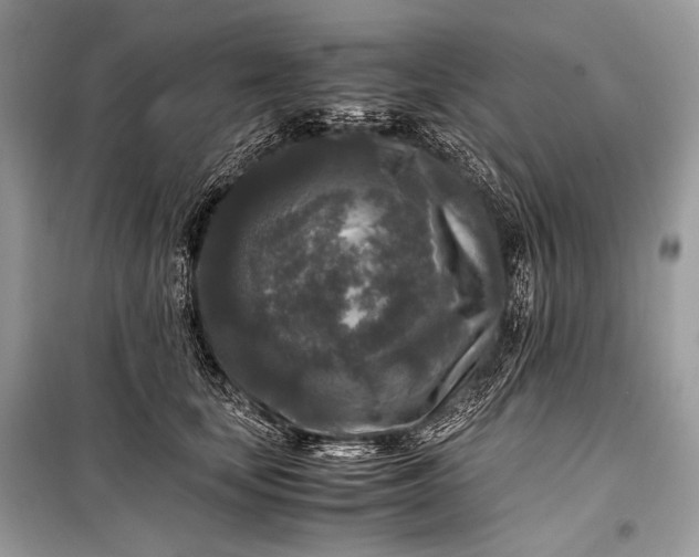 X0000099290659200805161326