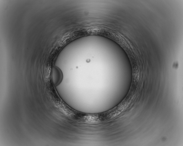 X0000099290660200805161326