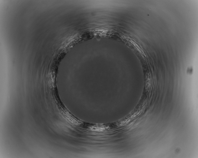 X0000099290661200805161326