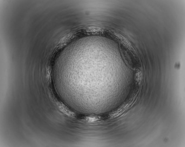 X0000099290662200805161326