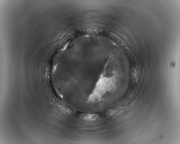 X0000099290663200805161326