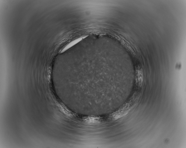 X0000099290664200805161326