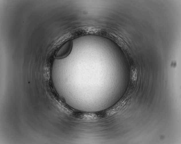 X0000099290666200805161326