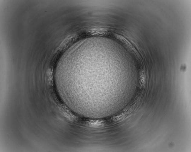 X0000099290667200805161326