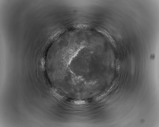 X0000099290669200805161326