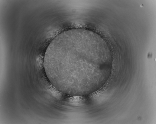 X0000099290672200805161326