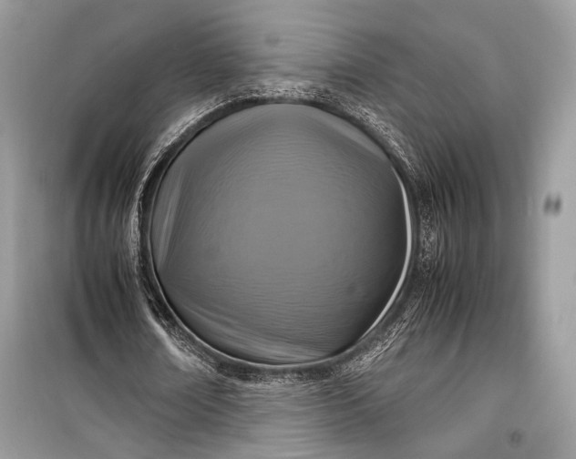 X0000099290674200805161326