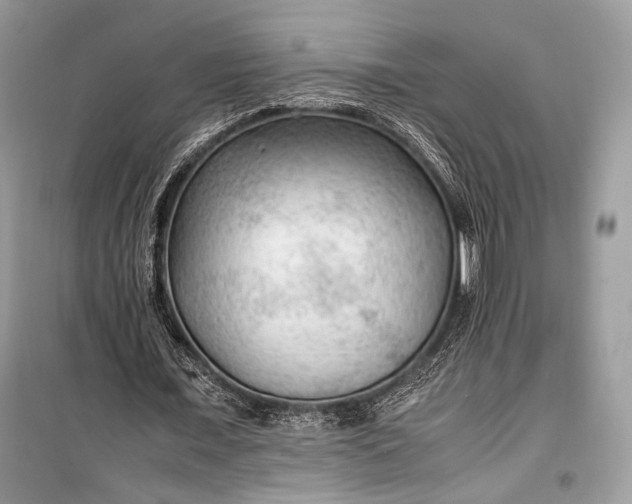 X0000099290675200805161325