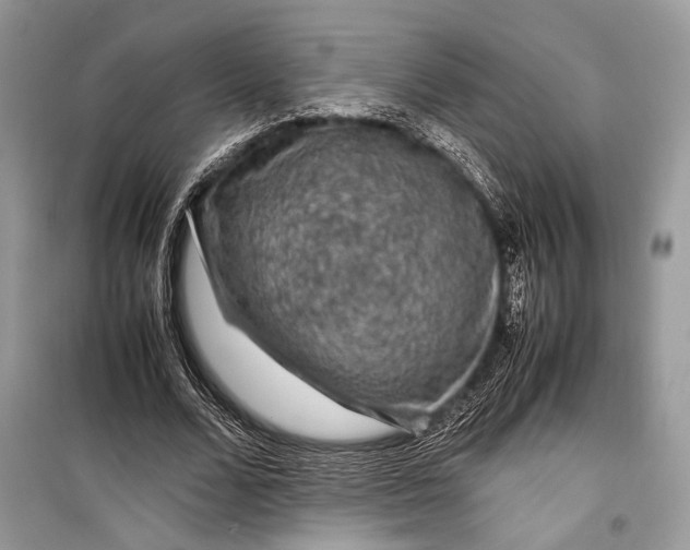 X0000099290680200805161325