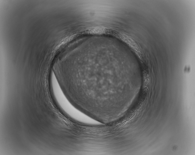 X0000099290681200805161325