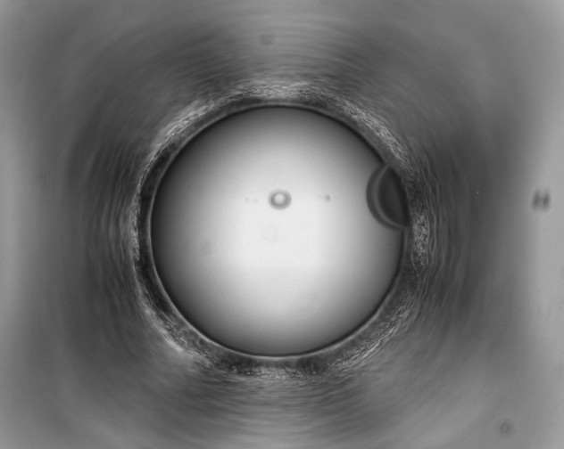 X0000099290682200805161325