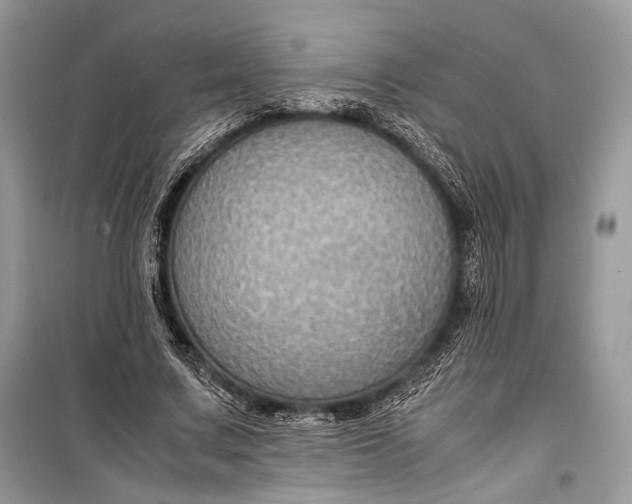 X0000099290683200805161325