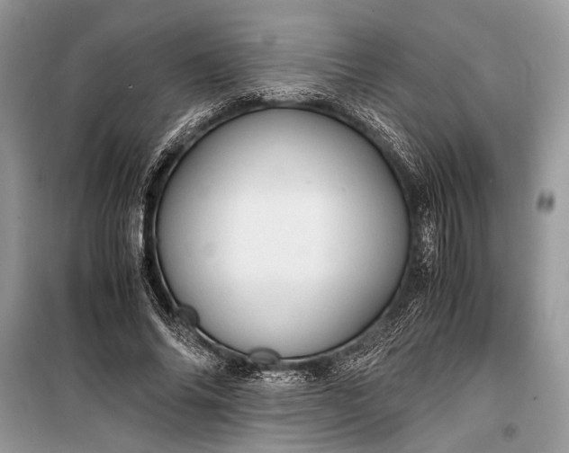 X0000099290686200805161325